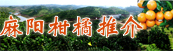 麻阳柑橘推介专题