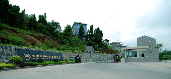 湖南泰安硅业有限公司