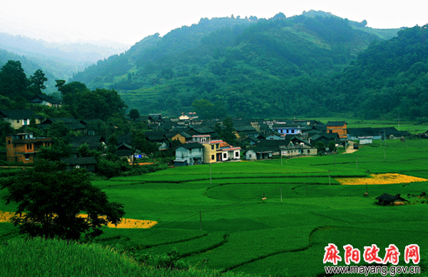 �����̽��