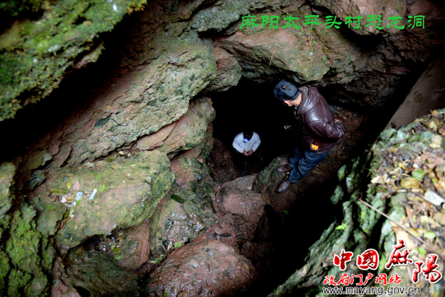 ̽��̫ƽͷ���������������ɽ��δʶ