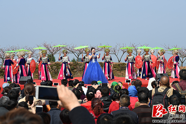 麻阳·大溪桃花节盛大开幕
