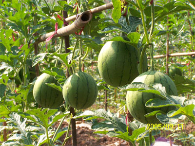 ������������